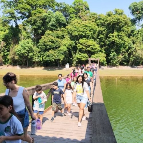 Imersão ambiental reúne 560 pessoas com trilhas e plantio de árvores em Sinop