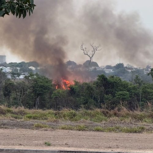 Incêndio atinge área de reserva em Sinop