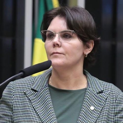Bancada feminina de Mato Grosso na Câmara dos Deputados aumenta para 3