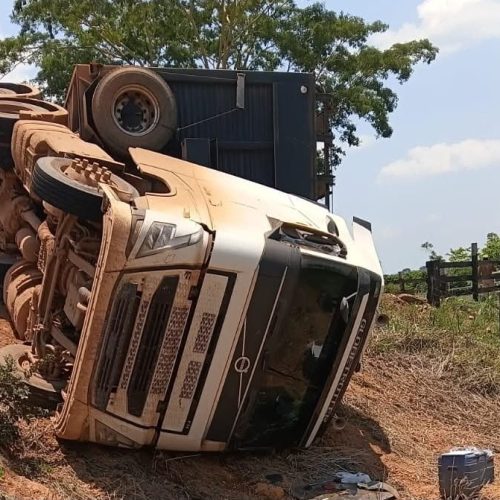 Carreta com bois tomba na MT-325 em Alta Floresta e motorista fica ferido