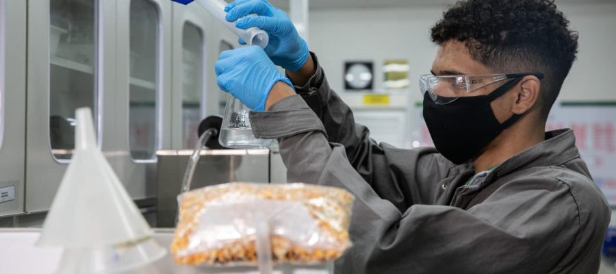 Mato Grosso segue líder nacional na produção de etanol a base de milho