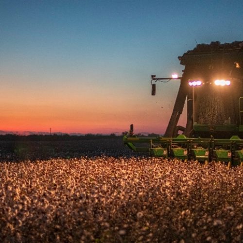 Compras: o motor invisível da colheita