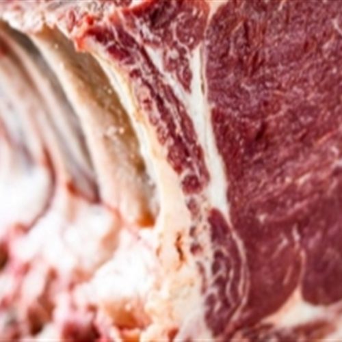 Proteína animal: entenda como protocolos europeus pressionam exportadores brasileiros