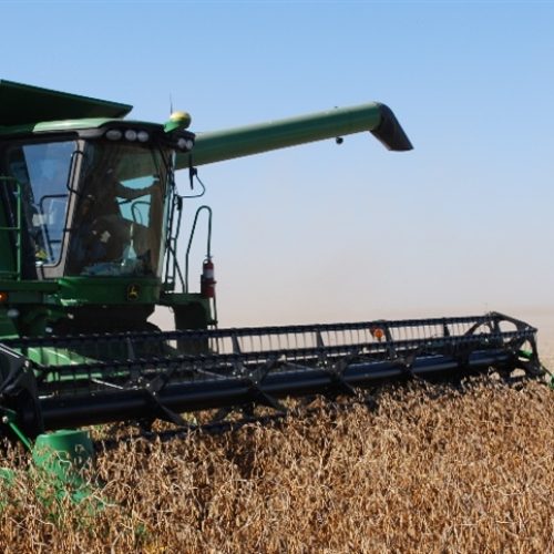 USDA revisa estimativas para soja e milho