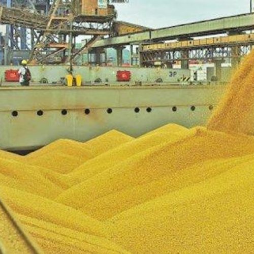 Mato Grosso lidera balança comercial brasileira em 2025