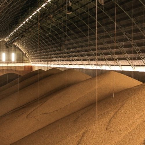 Soja recua no Brasil e mercado global divide atenções