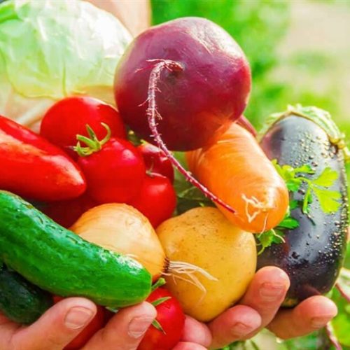 Exportações de hortifrúti crescem 28%