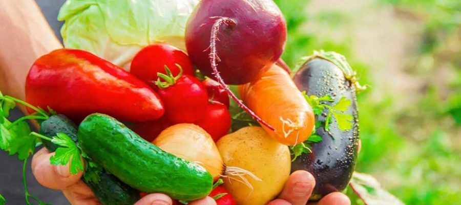 Setor hortifruti ganha novo impulso global