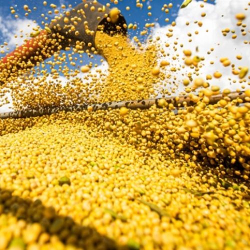Grãos puxam alta de 3,62% nos preços do agro
