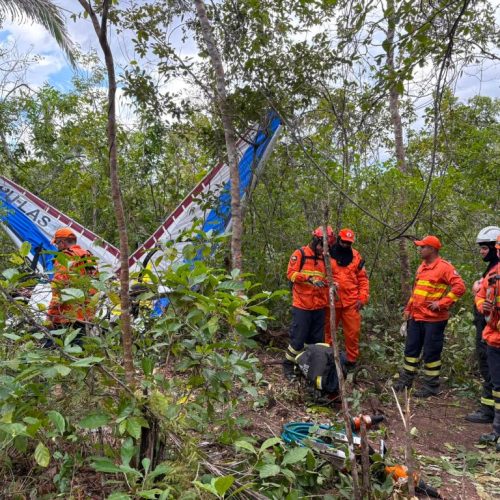 Bombeiros localizam destroços de ultraleve e corpo de vítima após acidente aéreo