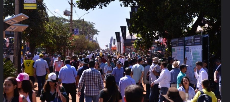 Agricultura familiar ganha destaque na Agrishow 2026