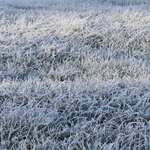 Primeira onda de frio do ano deve chegar na terça-feira (27)