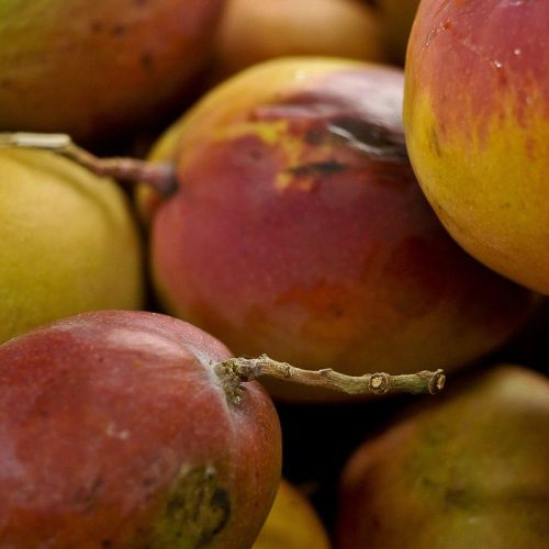 Abrafrutas apoia plano e pede atenção a pequenos produtores