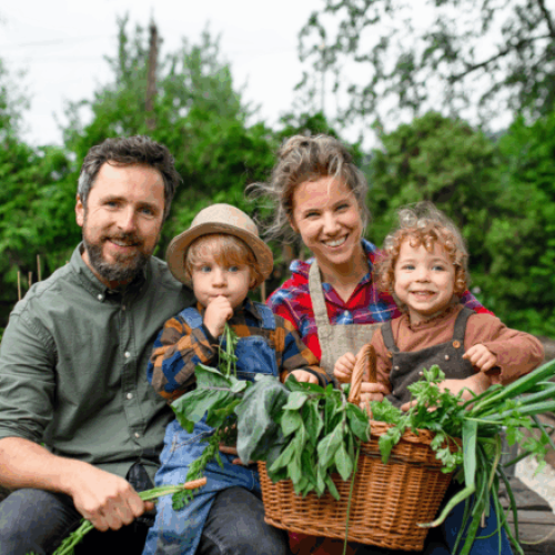 Setor de agricultura familiar movimenta economia e garante segurança alimentar