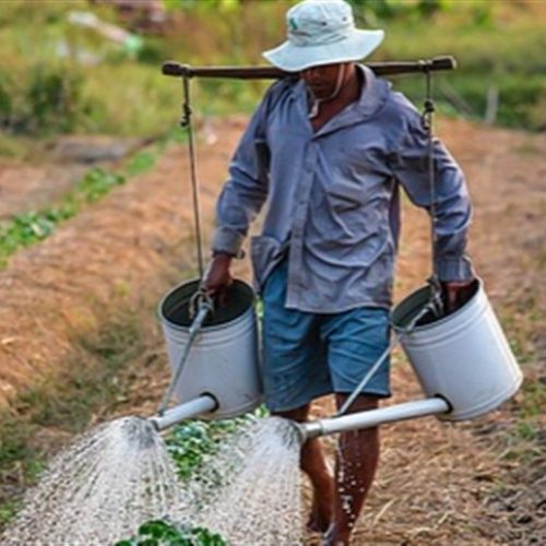 Pesquisa analisa o perfil do produtor brasileiro e aponta que 80% deles estão na profissão por tradição da família
