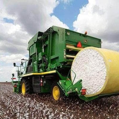 Custos do algodão sobem 12% em Mato Grosso e atingem maior patamar desde a safra 22/23