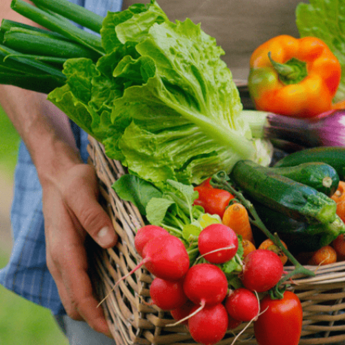 Inscrições para o curso “Boas Práticas na Fabricação de Alimentos” terminam dia 31