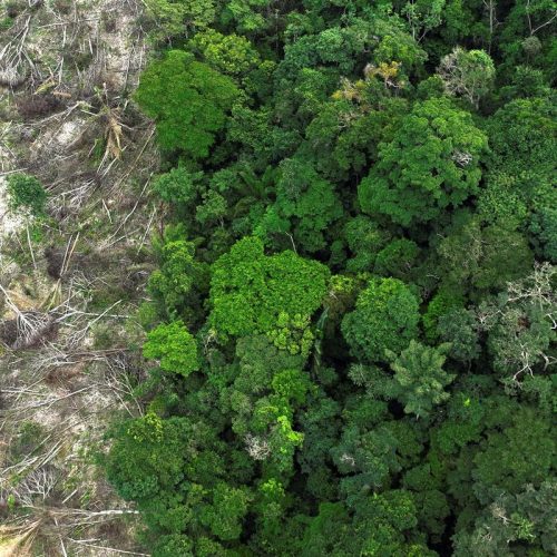 Municípios gastaram R$ 732 bilhões com desastres entre 2013 e 2024