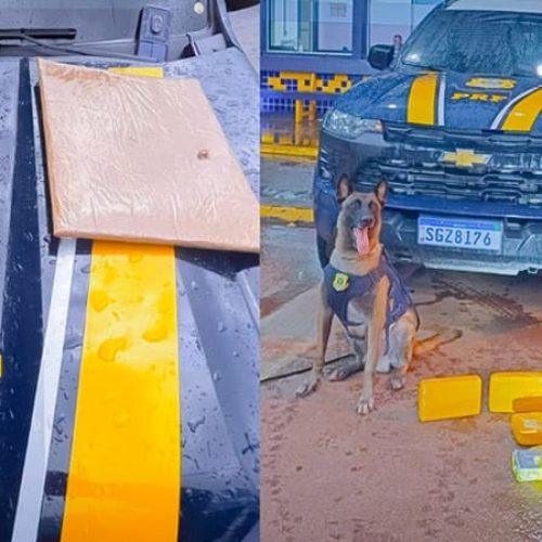 RONDONOPOLIS: Drogas apreendidas | Ferramenta inédita | Saberes ancestrais | Roubo mediante sequestro