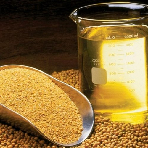 Paralisação de esmagamento de soja movimenta mercado