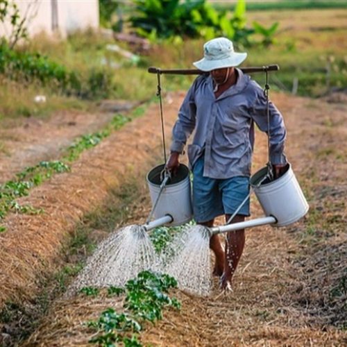 Agronegócio forte esconde desafios do produtor rural