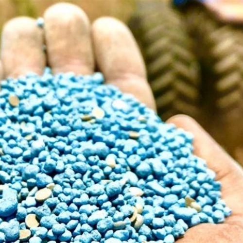 Entregas de fertilizantes avançam 7,8% no ano