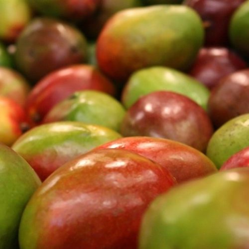 Feira revela as novas apostas do mercado de frutas