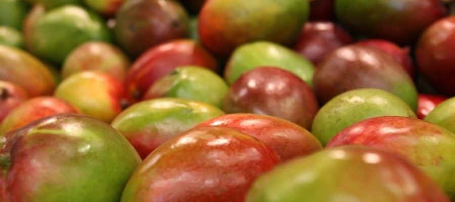 Feira revela as novas apostas do mercado de frutas