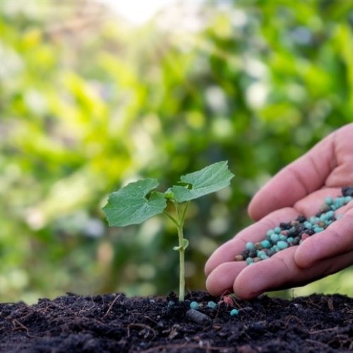 Importação de fertilizantes cresce 10,9% no 1º trimestre