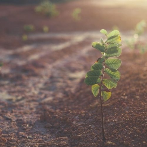 Chuvas retornam ao Rio Grande do Sul; temperaturas podem ultrapassar 25°C