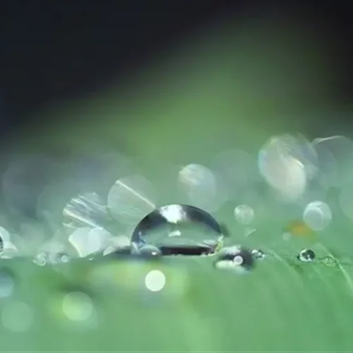 Previsão indica chuva insuficiente ao plantio no Matopiba