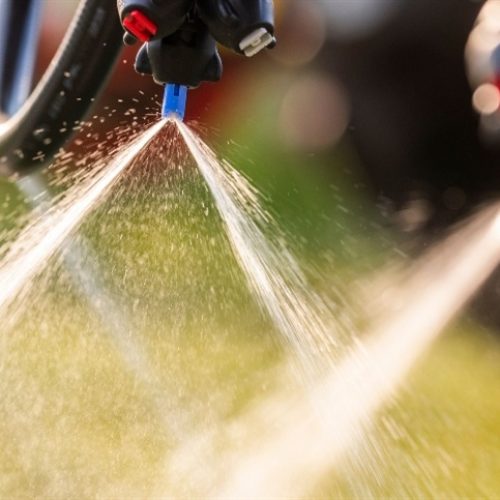  Janela de aplicação é chave no combate à resistência