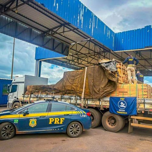 PRF intensifica combate a crimes ambientais e apreende grande volume de madeira nativa em Rondonópolis