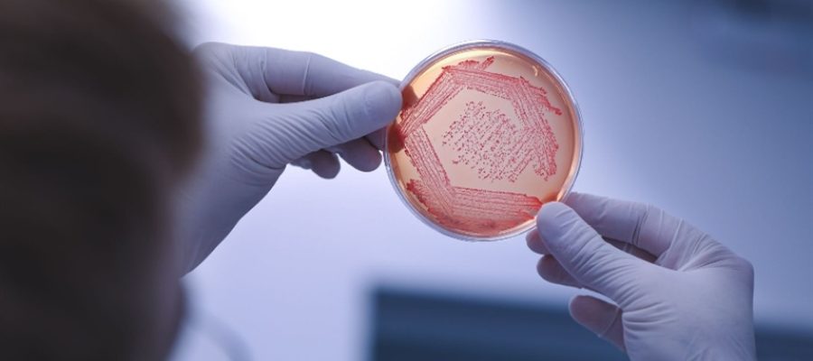 O motivo oculto das falhas dos bioinsumos