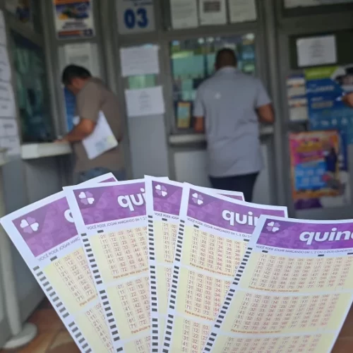 Quina: 37 apostas do concurso 6837 faturam prêmio em dinheiro; veja cidades