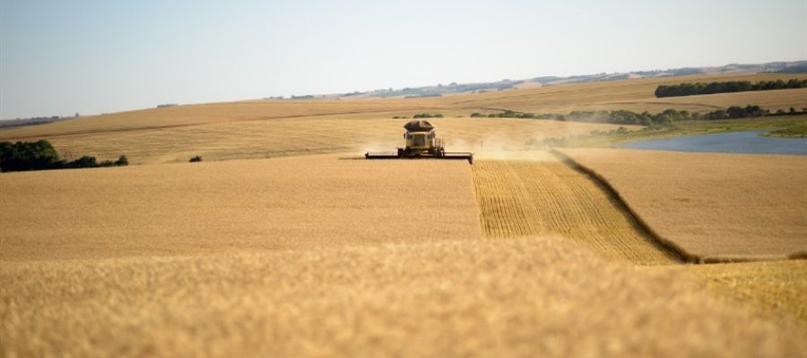 Umidade amplia atrasos na colheita argentina
