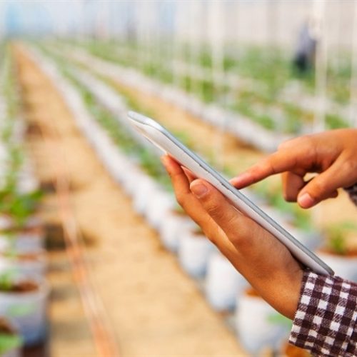 Debate sobre ensino de Agronomia ganha força no país