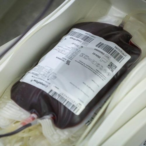 SALVE VIDAS: MT Hemocentro alerta para estoque de sangue em nível crítico