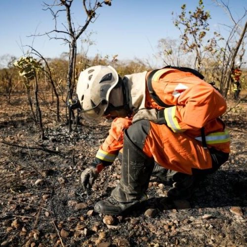 Em 10 dias de operação, equipes aplicam R$ 78 milhões em multas por crimes ambientais no Norte de MT
