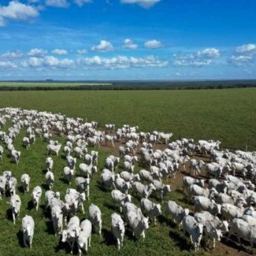 Fazenda em Nova Ubiratã está à venda por quase 6 bilhões: MT tem propriedades mais caras do País