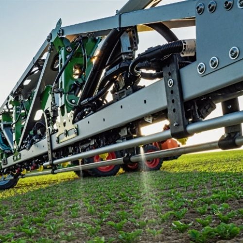 Como o glifosato atua nas plantas daninhas