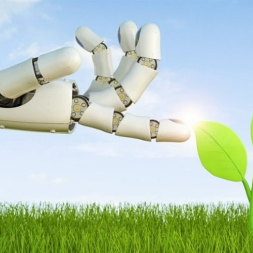 Novo modelo de IA para agricultura