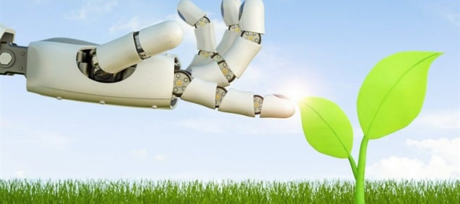 IA avança no atendimento técnico do agro