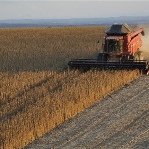 Com área ampliada, produção de soja deve alcançar 177,6 milhões de toneladas