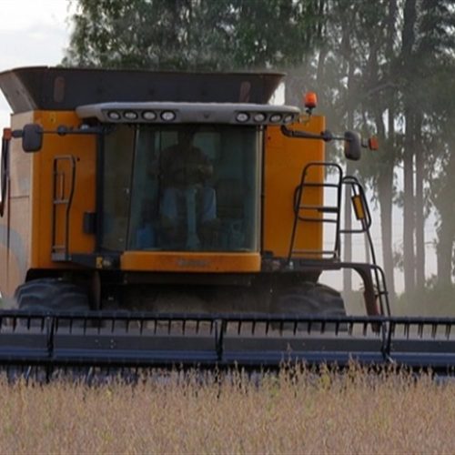 USDA projeta alta global na produção de soja