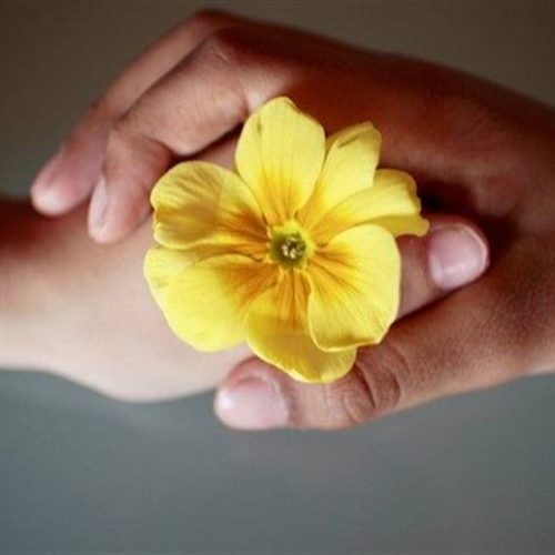 Cooperativas impulsionam crescimento do agro