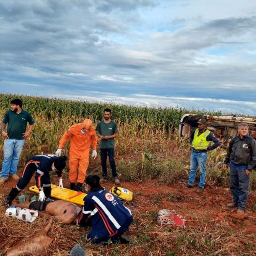 Bombeiros socorrem vítima ejetada após capotamento na MT-140