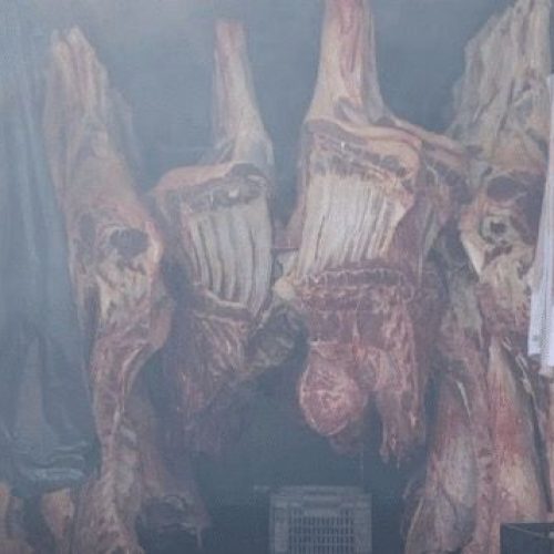 Indea apreende mais de 2 toneladas de carne imprópria para consumo em Mato Grosso