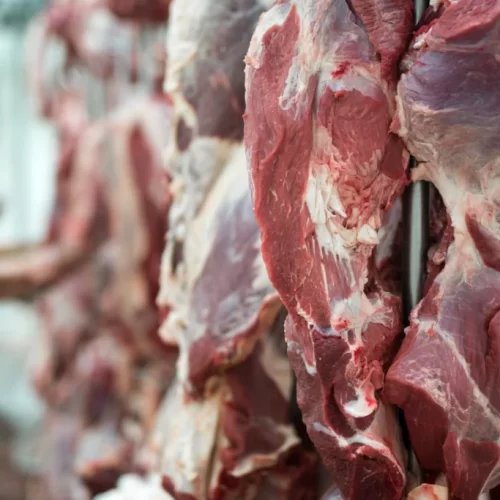 Produção brasileira de carnes deve alcançar 31,5 milhões de toneladas