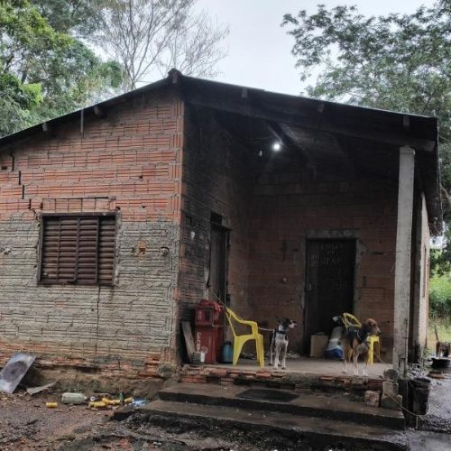 EM SANTO ANTÔNIO DE LEVERGER: Polícia Civil identifica suspeito por maus-tratos e abuso contra cachorro